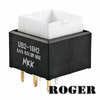 UB216SKG036CF Image